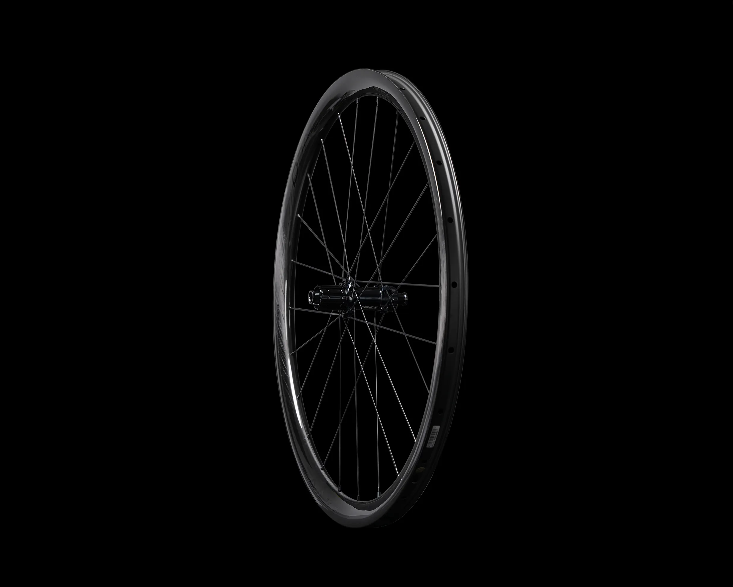 side rear rim
